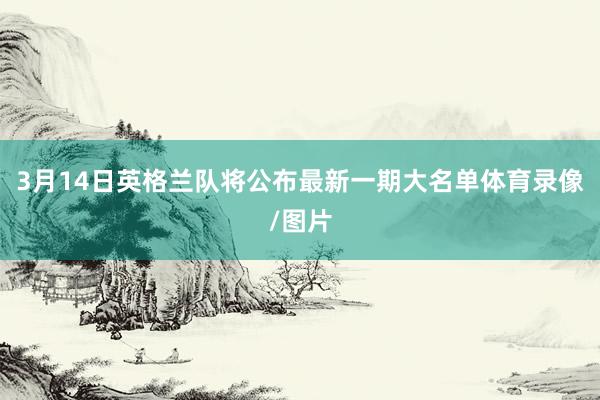 3月14日英格兰队将公布最新一期大名单体育录像/图片